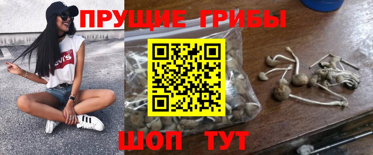 Псилоцибиновые грибы Magic Shrooms Отрадный