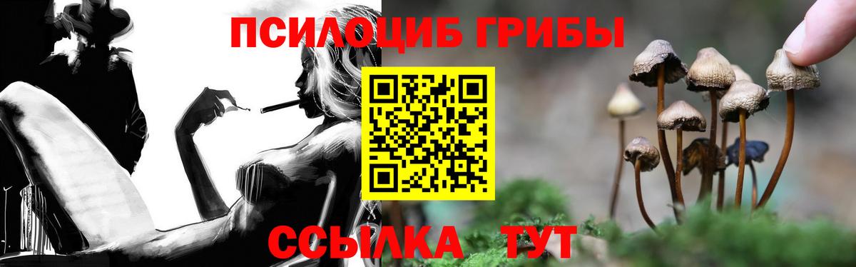 Галлюциногенные грибы MAGIC MUSHROOMS  Вход с VPN  Псилоцибиновые грибы ЛСД  Отрадный 